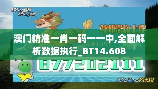 澳门精准一肖一码一一中,全面解析数据执行_BT14.608