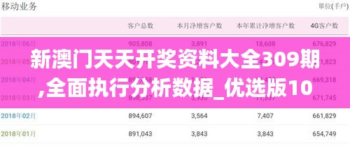 新澳门天天开奖资料大全309期,全面执行分析数据_优选版10.872