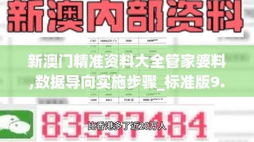 新澳门精准资料大全管家婆料,数据导向实施步骤_标准版9.927