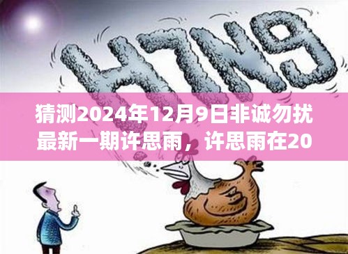 许思雨在2024年非诚勿扰最新一期，星光璀璨的命运交汇