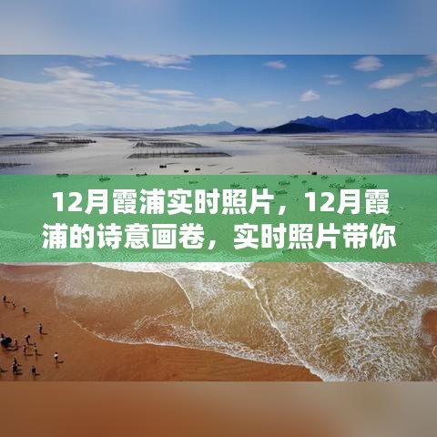 12月霞浦的诗意画卷，实时照片领略冬日神韵