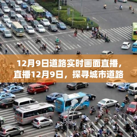 羊肠鸟道 第2页