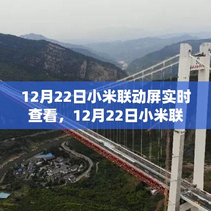 小米联动屏开启实时查看新纪元，智能科技的新里程碑