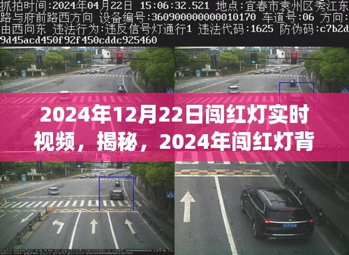 实时视频揭秘，2024年闯红灯背后的故事