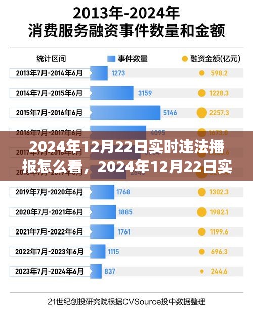 2024年12月22日实时违法播报观看指南，洞察法律执行的每一个细节
