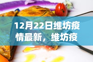12月22日维坊疫情最新动态及深度解析，防控进展报告