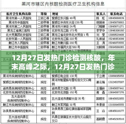 年末高峰发热门诊核酸检测深度解析，12月27日检测实录与解析