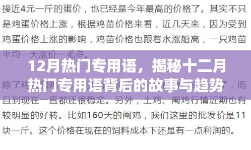 揭秘十二月热门专用语背后的故事与趋势分析