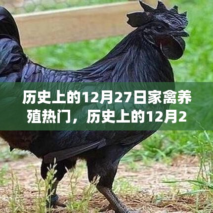刻画入微 第2页