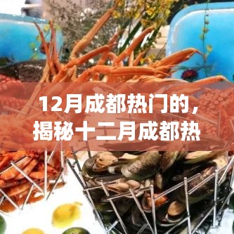 揭秘十二月成都的魅力，活动狂欢与美食盛宴的双重盛宴