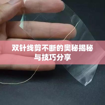 双针线剪不断的奥秘揭秘与技巧分享
