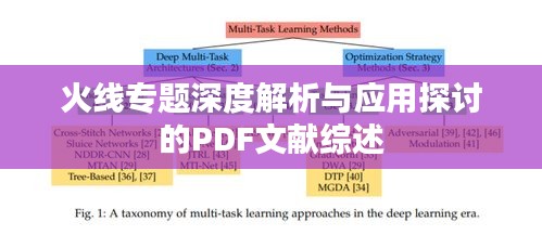 火线专题深度解析与应用探讨的PDF文献综述