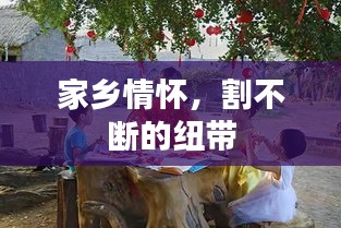 家乡情怀，割不断的纽带
