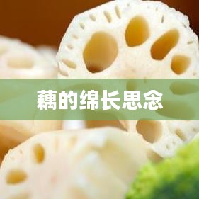 衣不兼彩 第2页