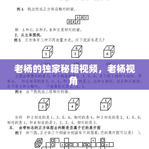夫荣妻贵 第2页