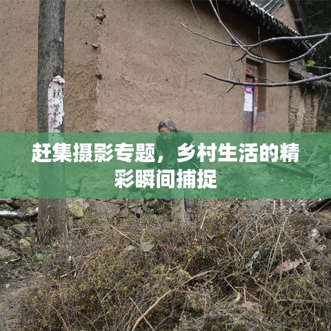 赶集摄影专题，乡村生活的精彩瞬间捕捉