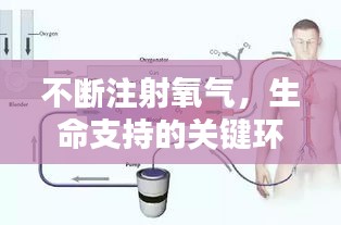 草间求活 第2页