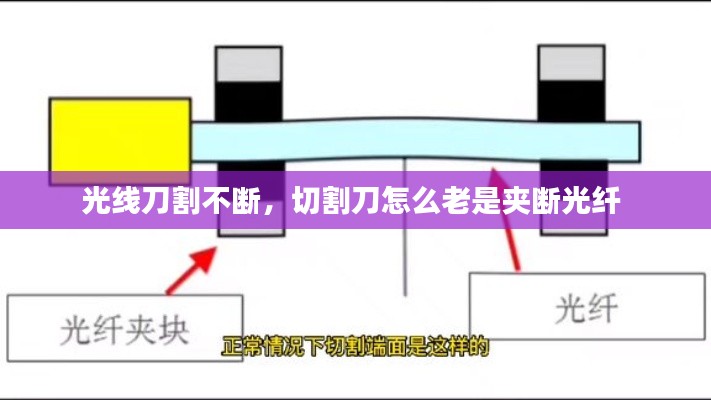 寥若晨星 第2页