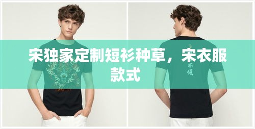 宋独家定制短衫种草，宋衣服款式 