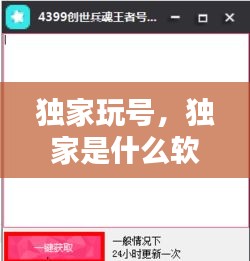 独家玩号，独家是什么软件 