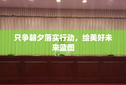 只争朝夕落实行动，绘美好未来蓝图