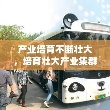 产业培育不断壮大，培育壮大产业集群 