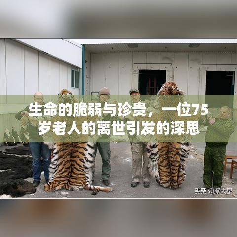 生命的脆弱与珍贵，一位75岁老人的离世引发的深思