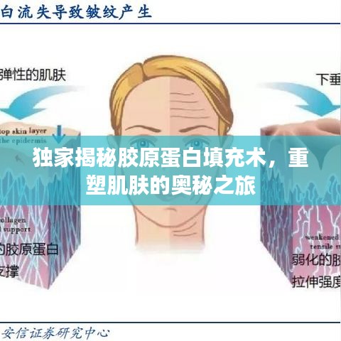风流人物 第2页