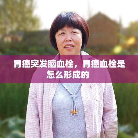 束装就道 第2页