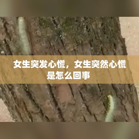 富贵荣华 第2页