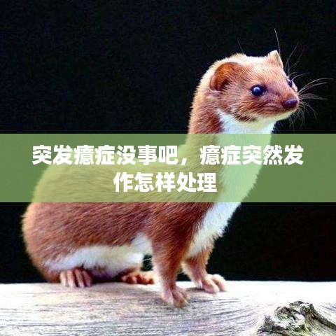 明目张胆 第2页