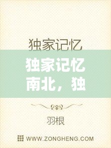 独家记忆南北，独家记忆原版小说 