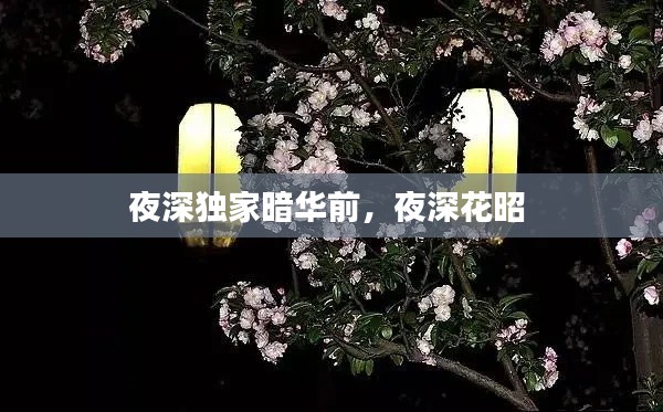 蹉跎岁月 第2页