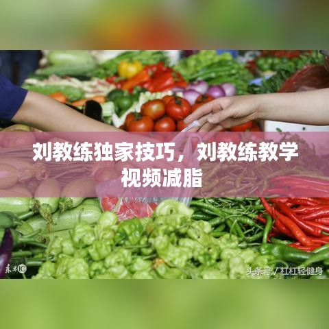 刘教练独家技巧，刘教练教学视频减脂 