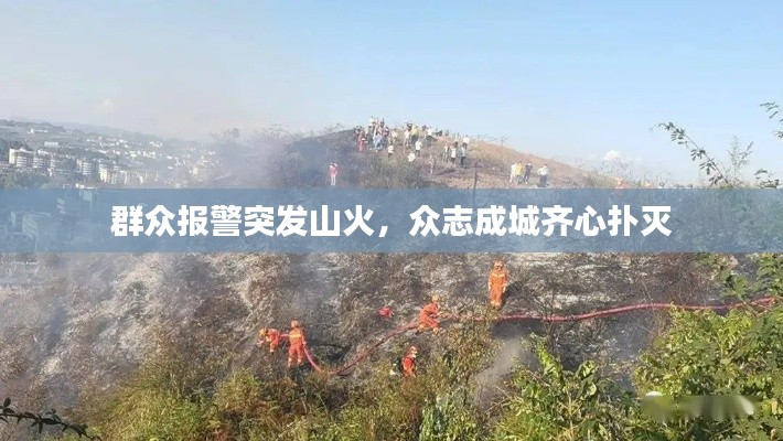 夯雀儿先飞 第2页