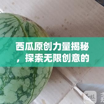 西瓜原创力量揭秘，探索无限创意的无限可能