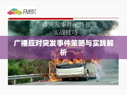贵人多忘事 第3页