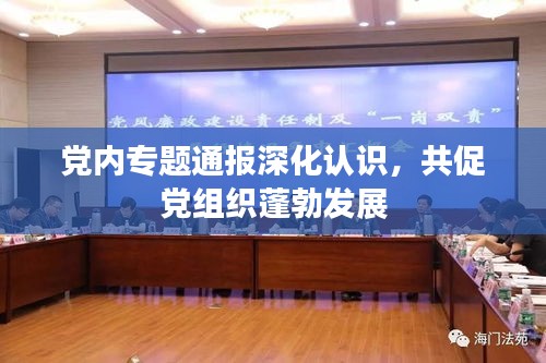 党内专题通报深化认识，共促党组织蓬勃发展