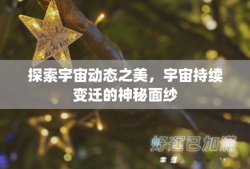 蚁出蚋飞 第2页