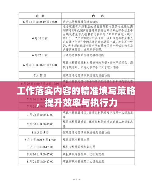 工作落实内容的精准填写策略，提升效率与执行力