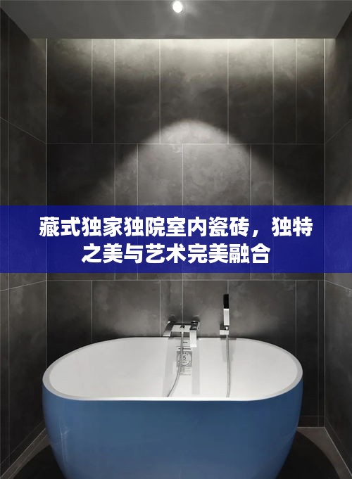 藏式独家独院室内瓷砖，独特之美与艺术完美融合