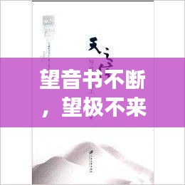望音书不断，望极不来芳信断,音书纵有争如见什么意思 