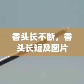 飞龙在天 第2页