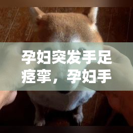 孕妇突发手足痉挛，孕妇手脚抽筋是什么原因引起的 