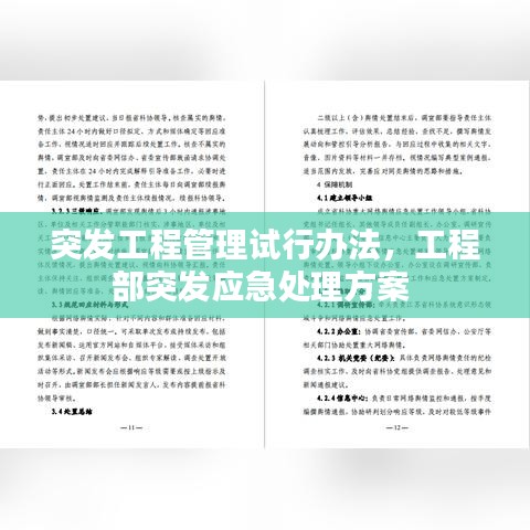 突发工程管理试行办法，工程部突发应急处理方案 