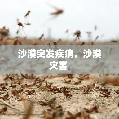 沙漠突发疾病，沙漠灾害 