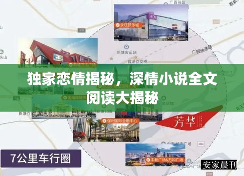 独家恋情揭秘，深情小说全文阅读大揭秘