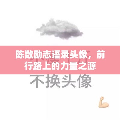 陈数励志语录头像，前行路上的力量之源