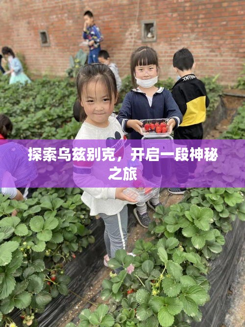 探索乌兹别克，开启一段神秘之旅