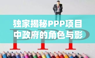 独家揭秘PPP项目中政府的角色与影响力